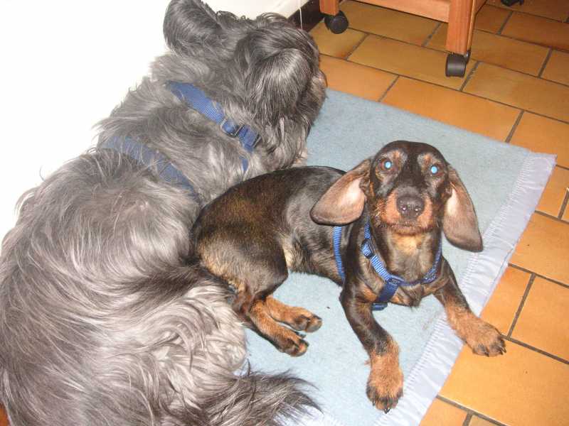 [Image: bretzel007.jpg]