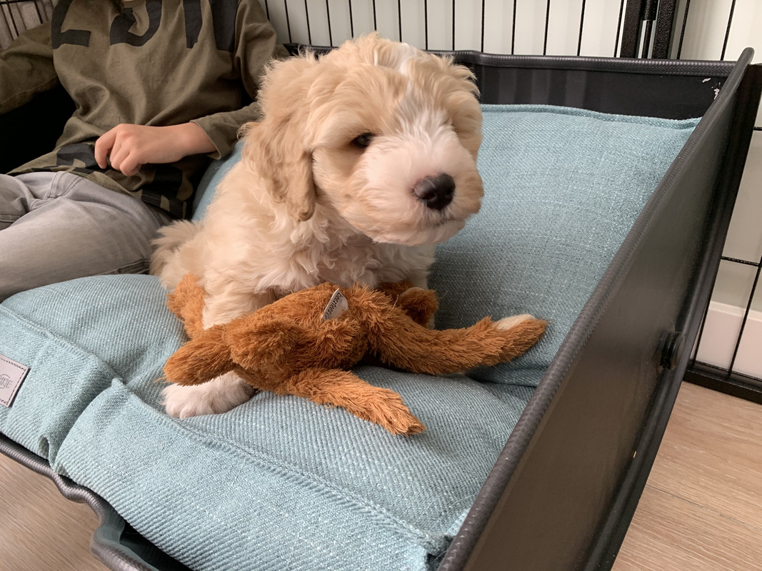 BF385A77-EA18-4E15-A77A-3130AD2A9D88