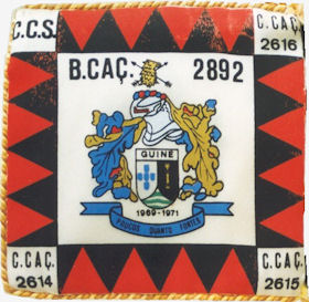 BCac2892