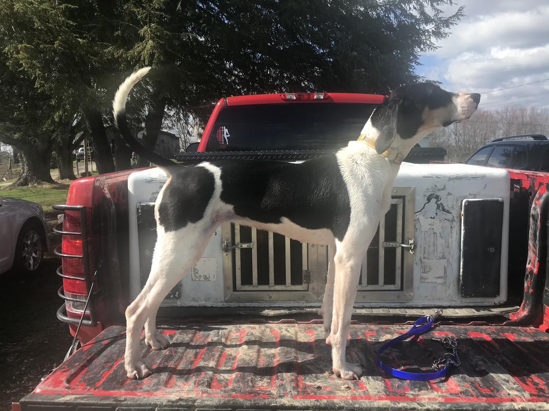 386056C8-6FB1-4694-B042-3D4CC6CF648D