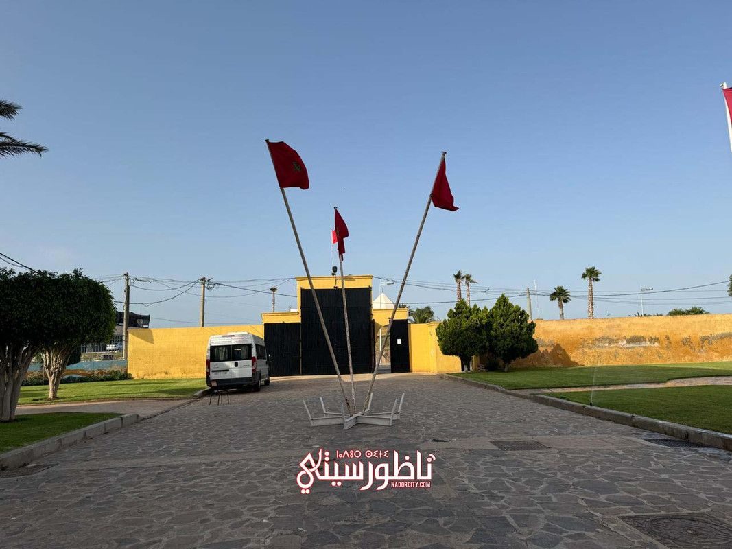 WhatsApp Image 2024-07-31 at 21.53.06 (1)