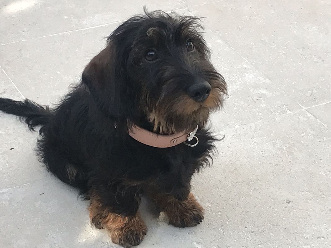 [Image: IMG-20250624-085122.jpg]