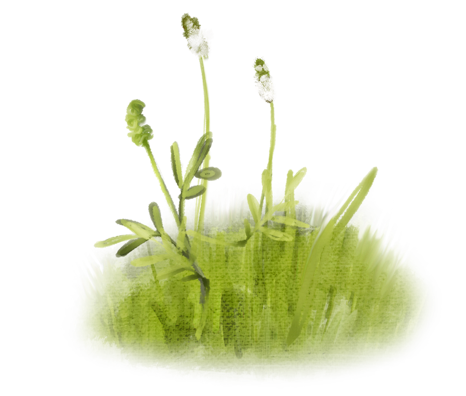 emeto_summer playground_grass overlay 1