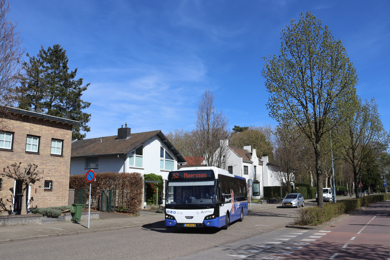 ZLBG (15)