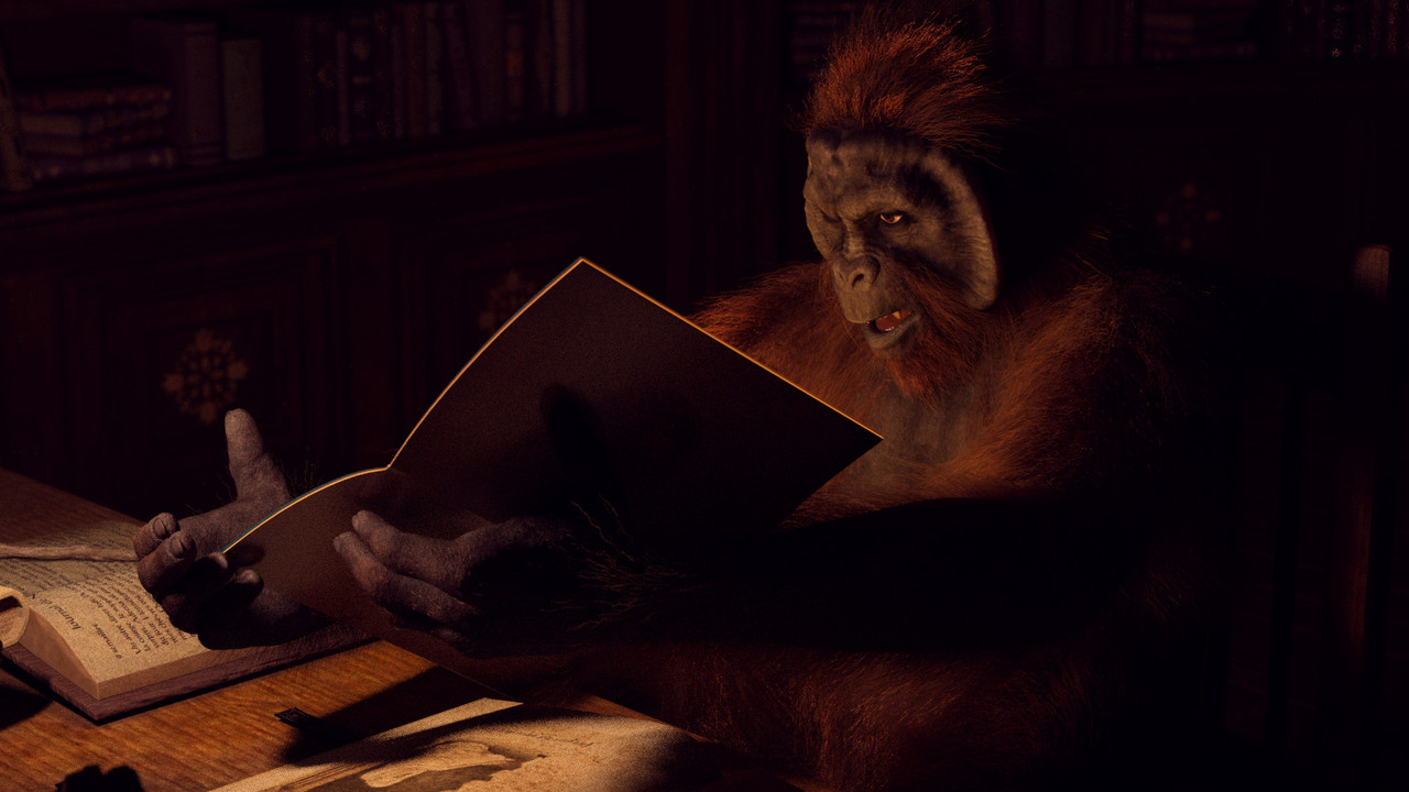 The Librarian