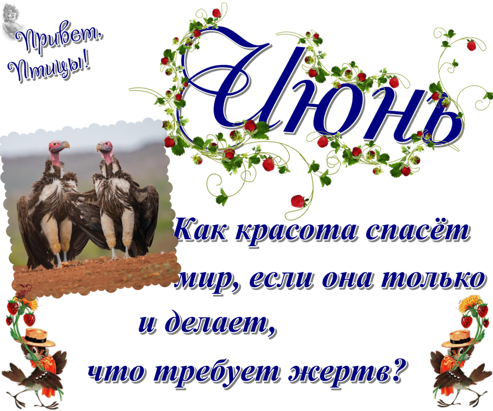 https://i.postimg.cc/ZYpJk6V2/10-06.png