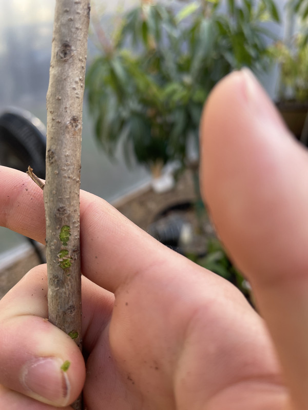 B0C450E2-7791-44A7-A89A-3032FA53A84C