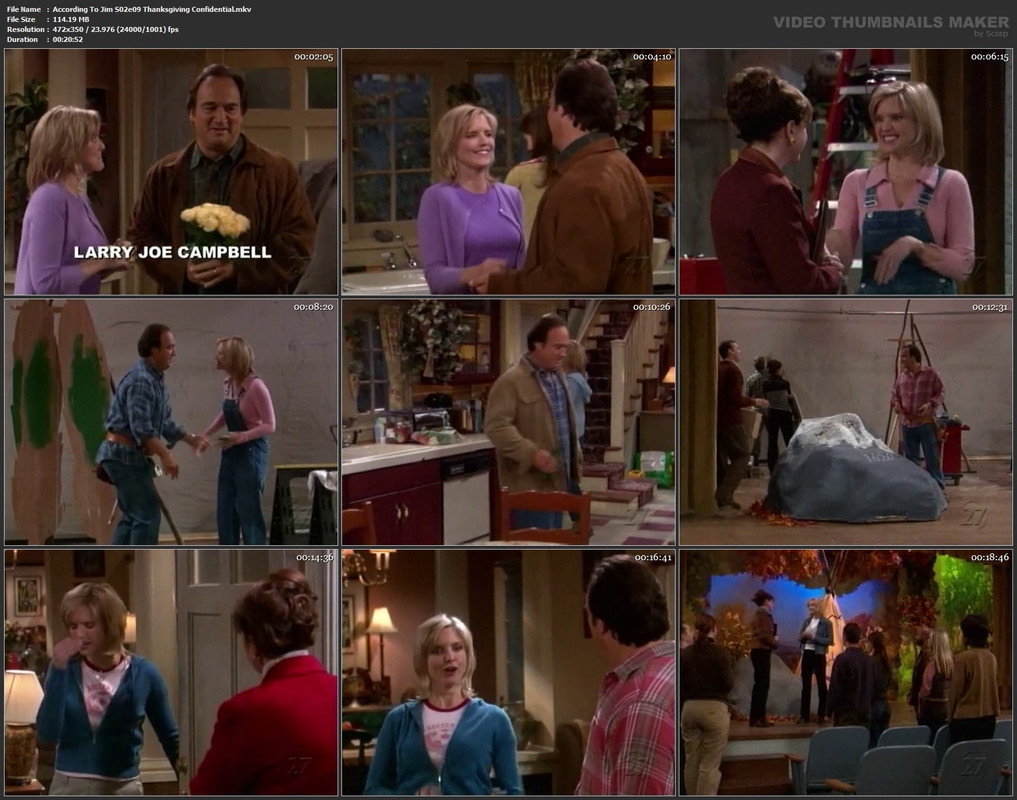According To Jim S02e09 Thanksgiving Confidential.mkv