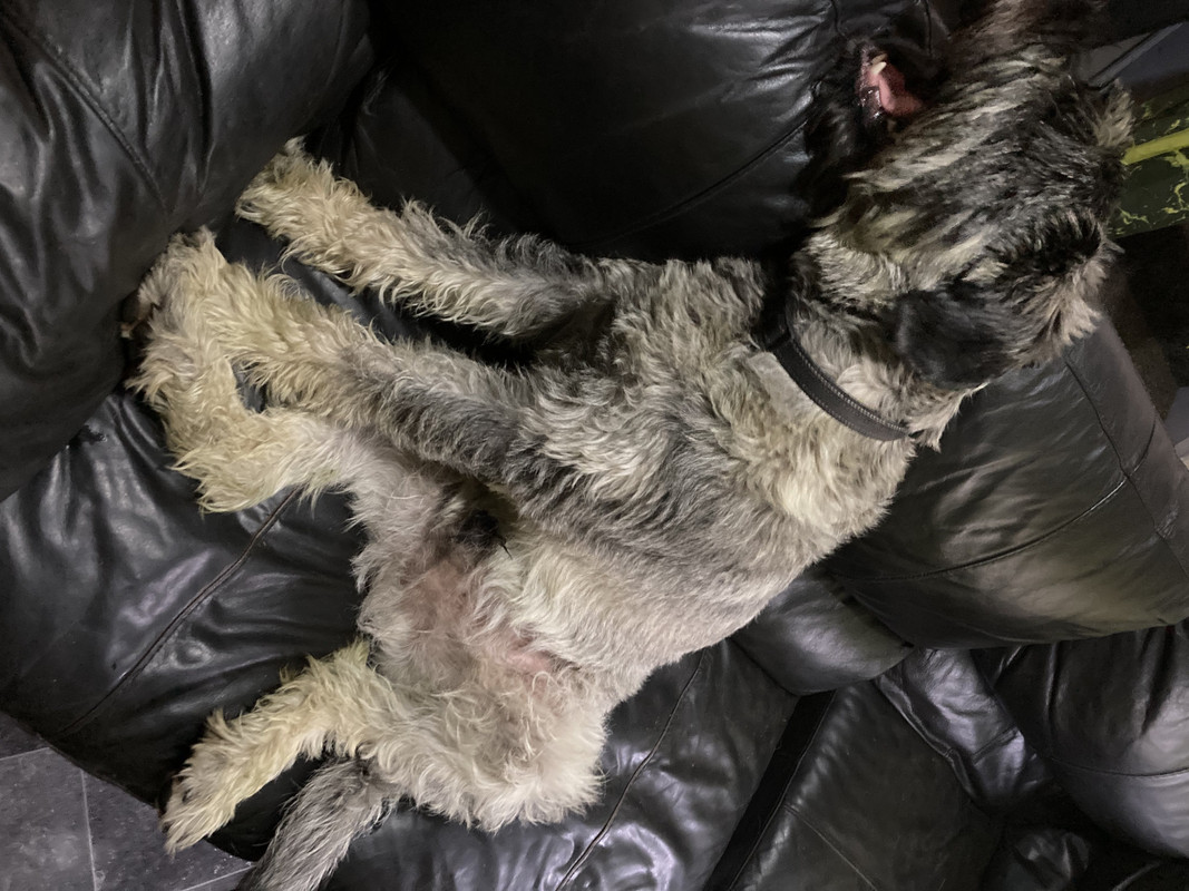 C638D743-C307-4B70-ADA7-AD91CDBDBC22