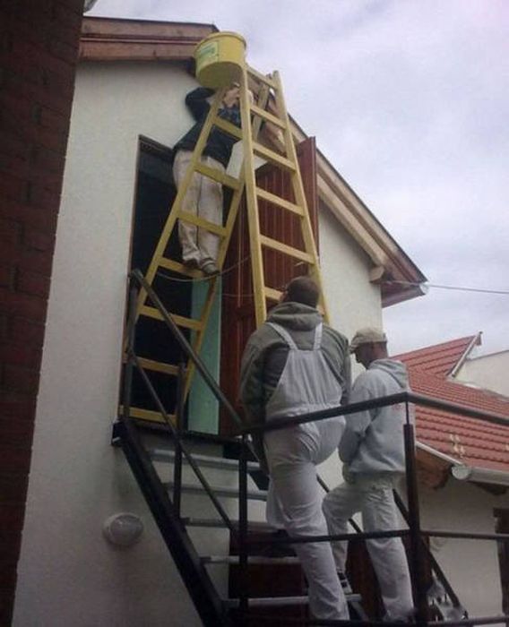 Типичные претенденты на Премию Дарвина