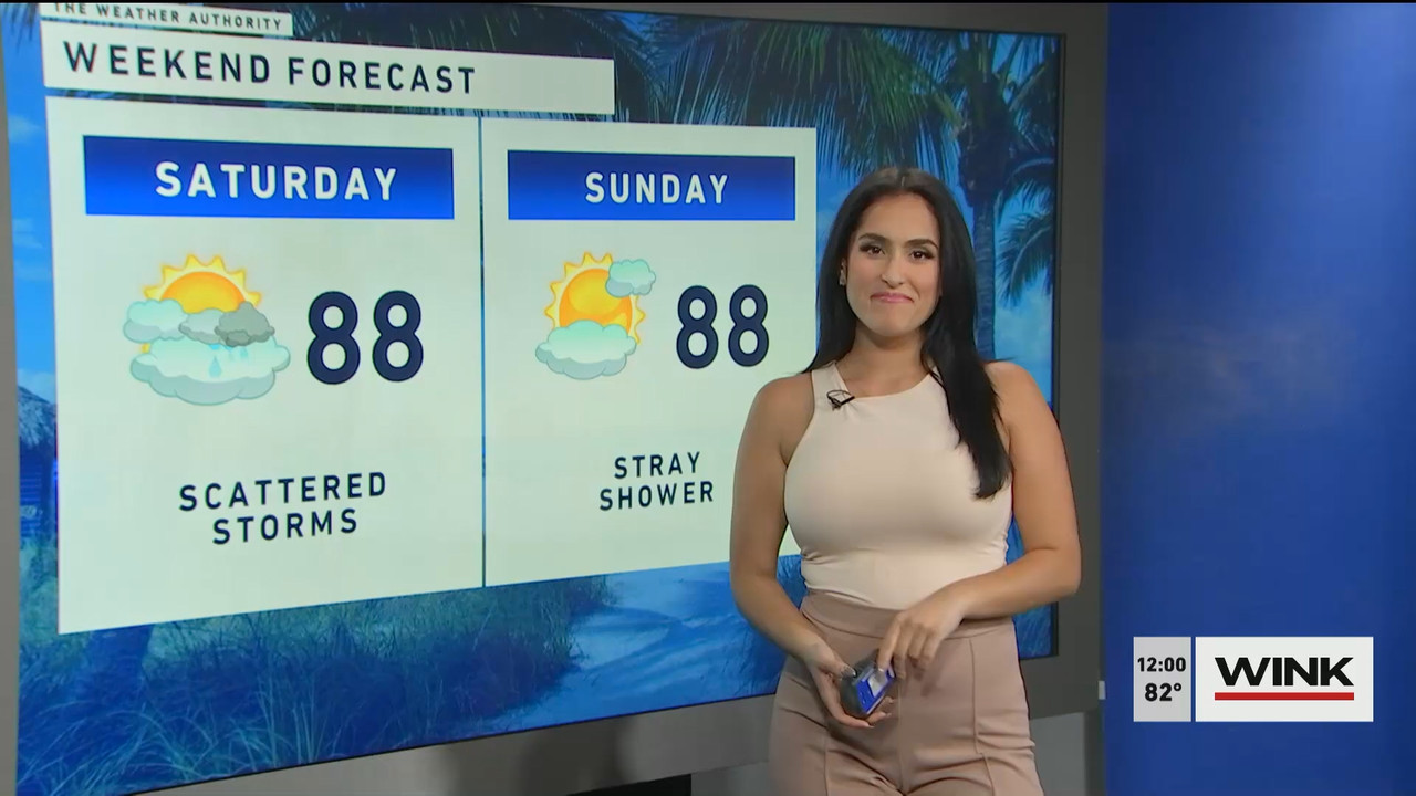 10.14 - 17.00.00 - The WINK Noon News  ᴺᵉʷ. Midday news update..ts_snapshot_06.59.561
