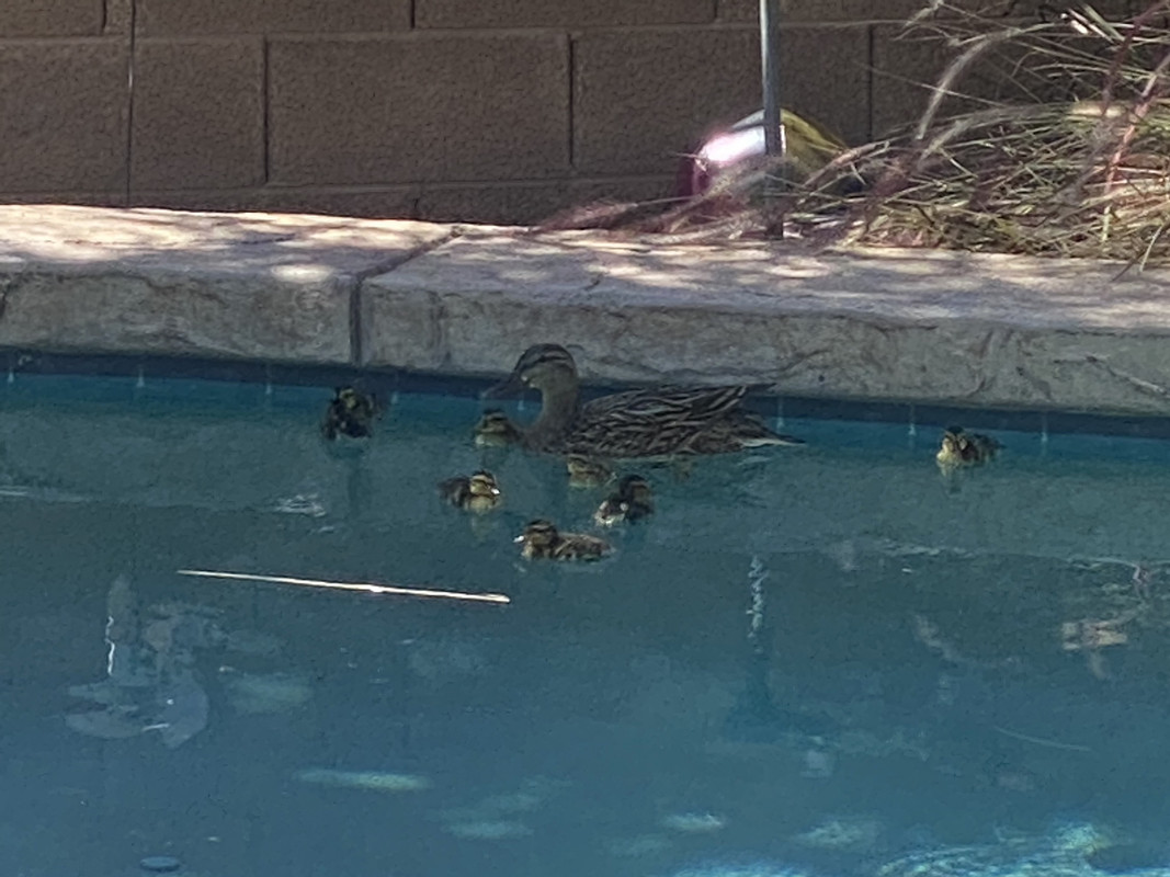 12A57E19-F898-4E0D-B3E5-A3411F7F1EFE