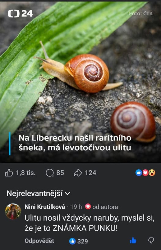 724235789 1452526723581509 6345475591372456443 n