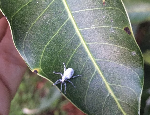 59957CB8-0364-48D7-B0A8-C60EF433843B