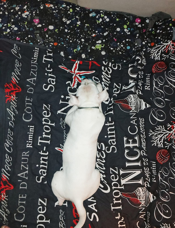 22F9BA6E-819E-4E28-BD79-F8CD4AA36DB9