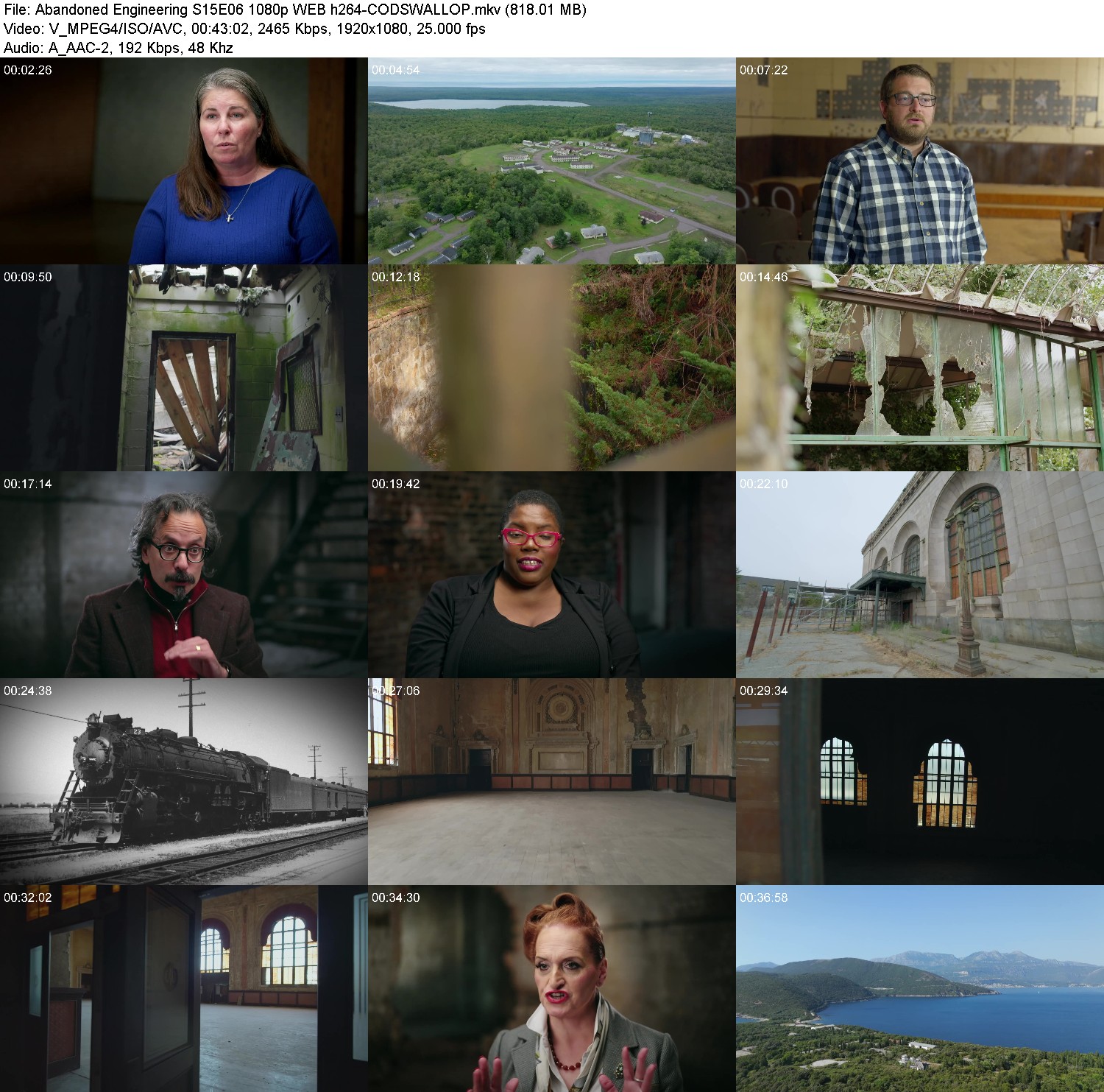 [Image: qs8pfz2aie74.jpg]