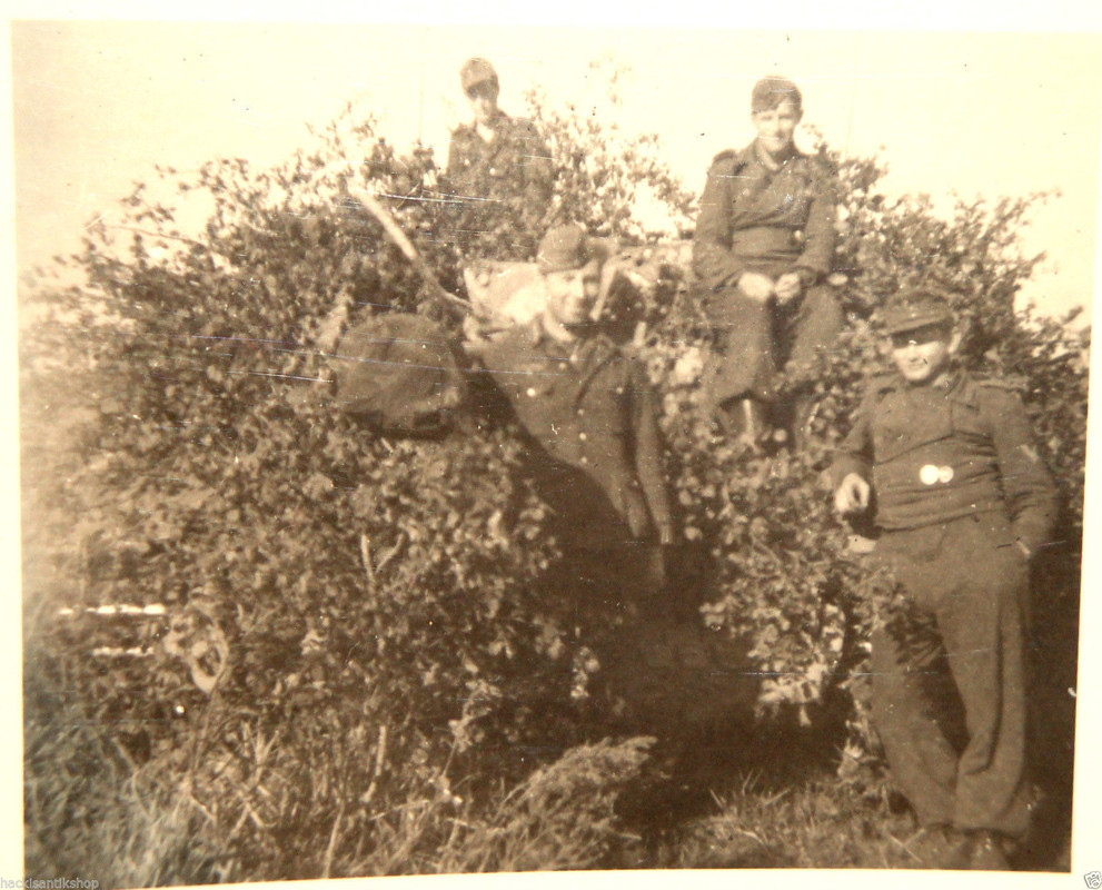 Foto Sturmgeschütz 40 Ausführung G STUG in Ungar