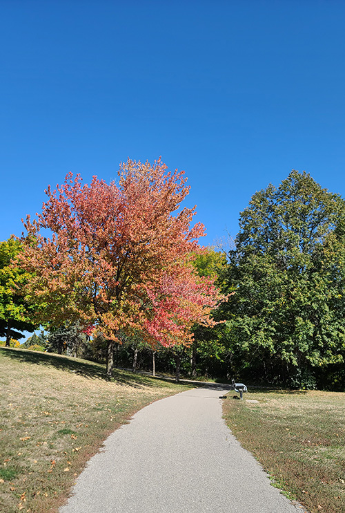 [Image: 20221005-123058.jpg]