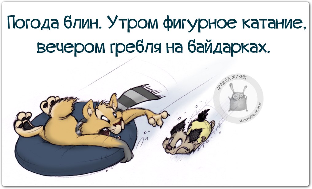 Картинки о плохой погоде прикольные