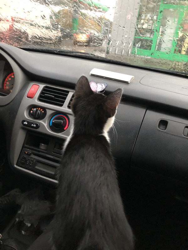 C6C24EA3-F7BC-4F29-9BA4-01FCA9070771