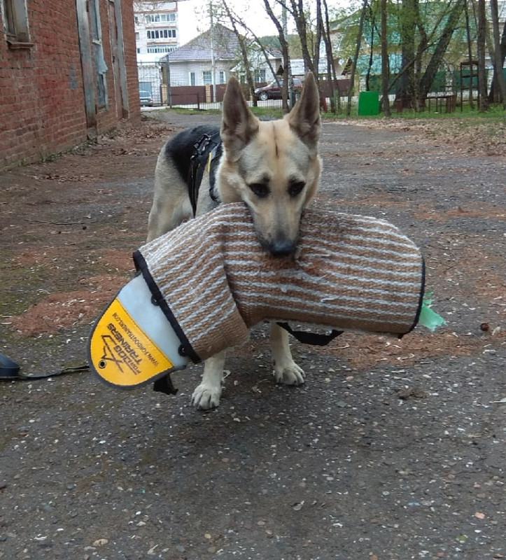 2xcJbTa6-Dp4TBBQTfEWAZI12mNpH_YYLCqTzZreA3nV_qYs8BGRnVZB9BOB0xE0meS7bWPjZvSmom1yMp6652s5