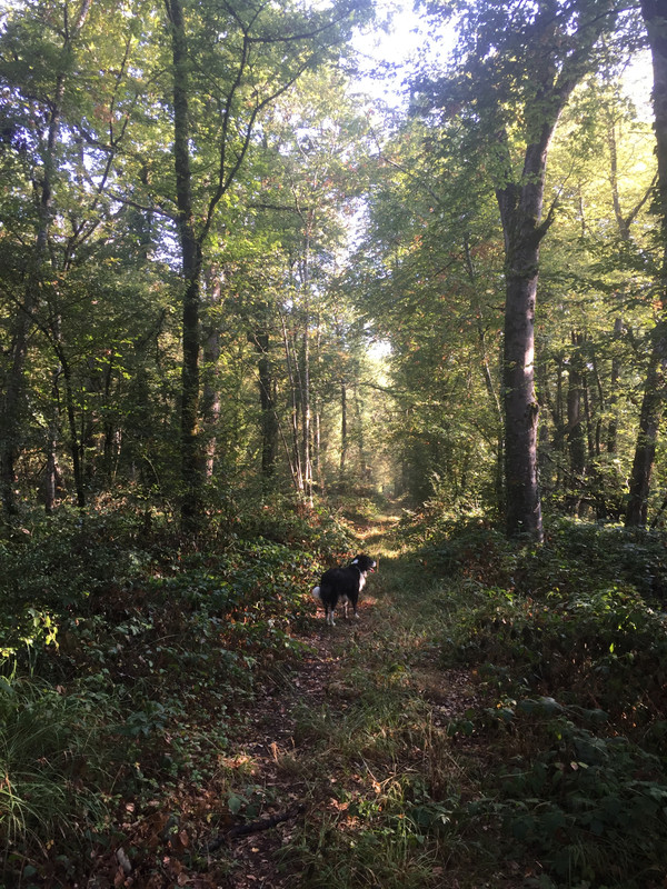 62EC4B4D-67EA-4435-A393-A2A6CCCE5EF9