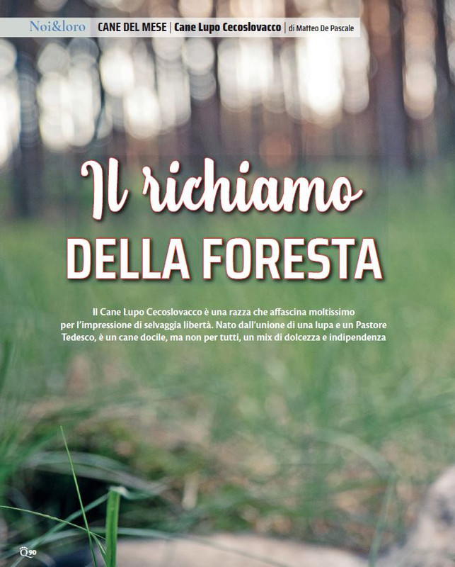 QuattroZampe Mar 2023 (1)