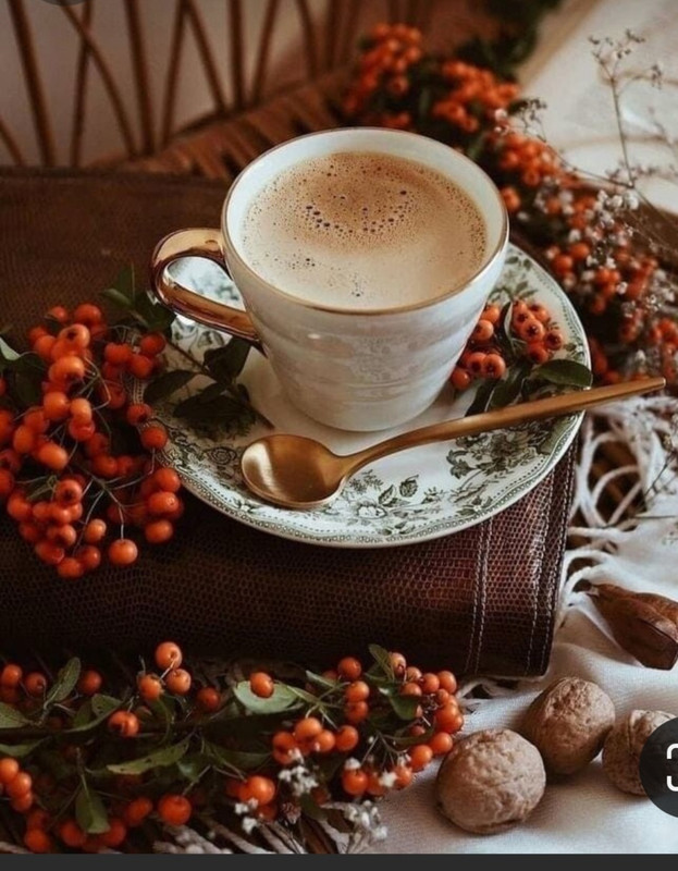 Screenshot_20231122_214625_Pinterest