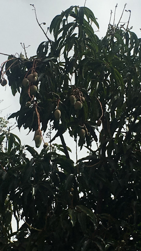 9B50E9D7-1530-45A3-8840-70E3EE539A5F