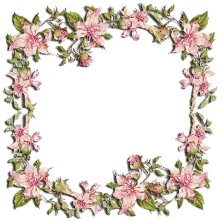 e78cec34452510e4a6dd2c85e190b964-removeb