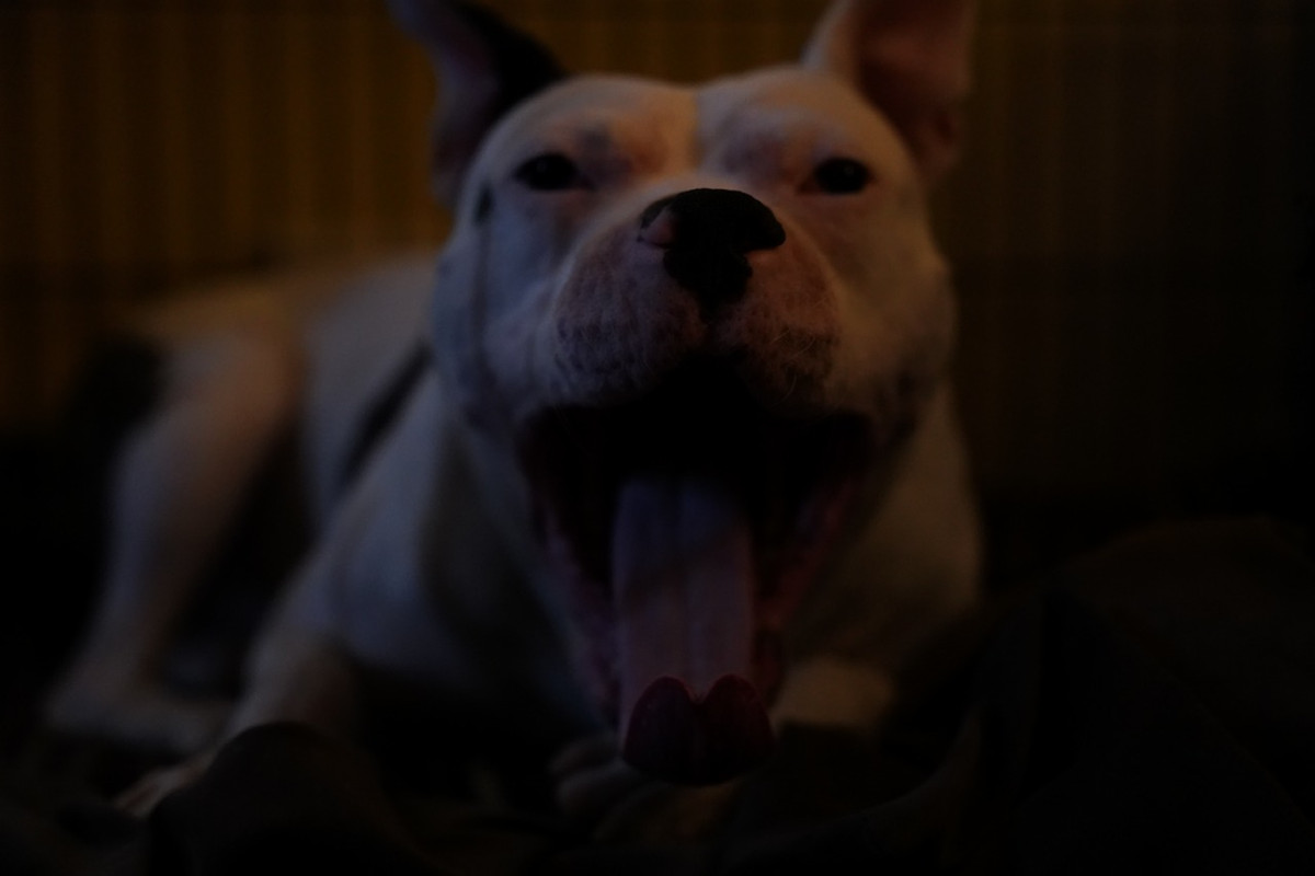 58D4A2BE-982F-42D4-BB2A-609CC7334847