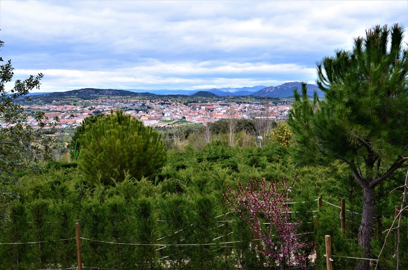 EL BOSQUE ENCANTADO-6-4-2013-MADRID - Paseando por España-1991/2015-Parte-1 (66)