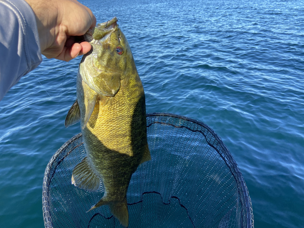 65DD9D6B-A018-4E75-8B8E-491FC4085D7D