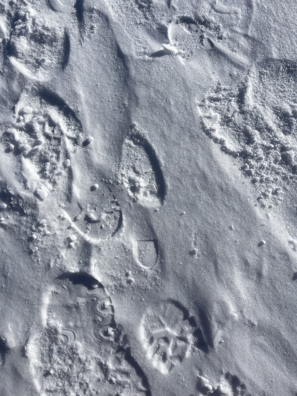 an oddly formal-looking shoeprint in the snow