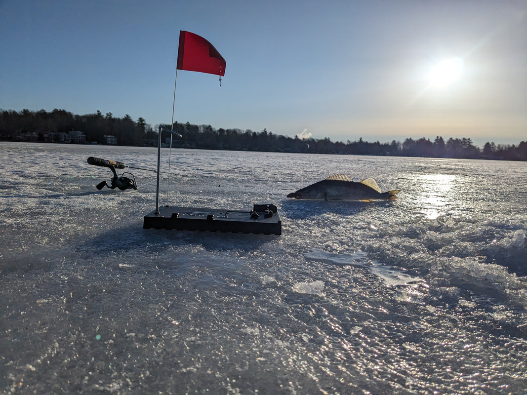 PXL_20240224_133228786