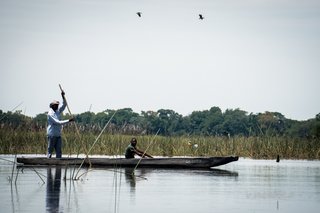 Botswana y Cataratas Victoria: la esencia de África y maravilla natural - Blogs de Botswana - Central Kalahari Game Reserve, Naxai Pan y vuelta anticipada a Maun. (19)