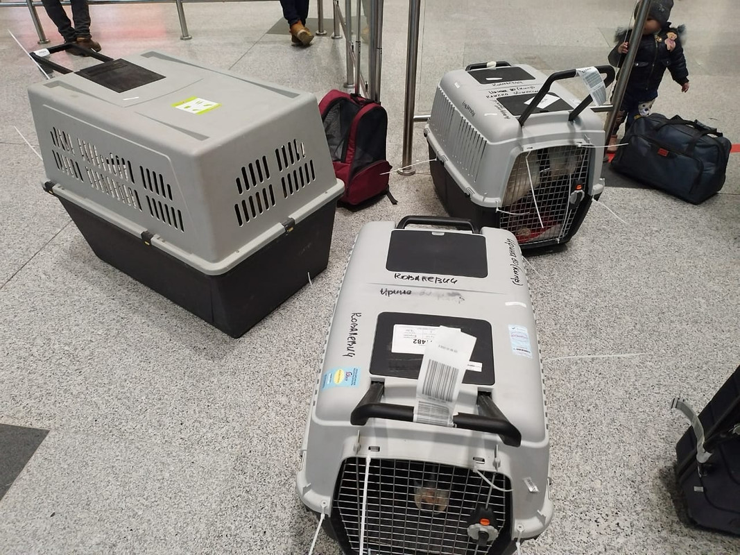 WhatsApp Image 2023-02-02 at 20.20.05 (1)