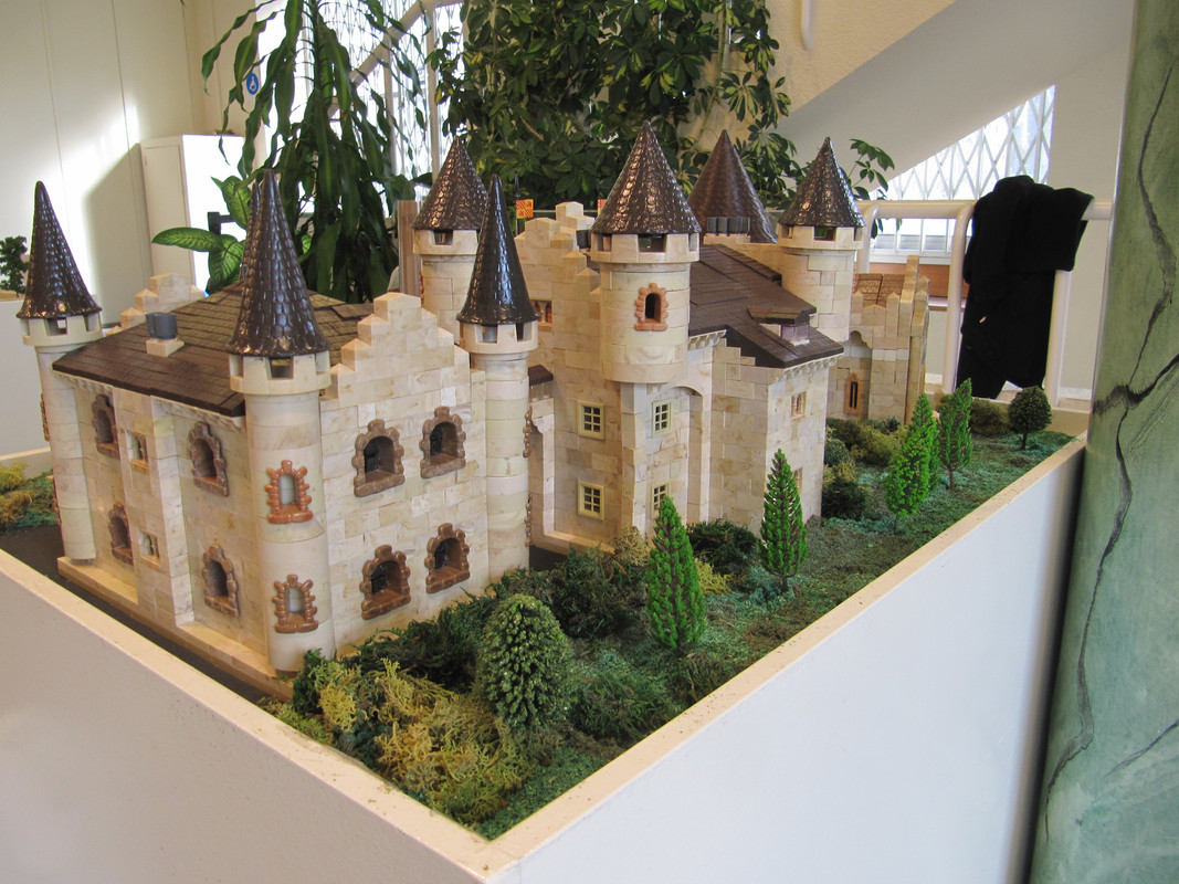 IMG-6634