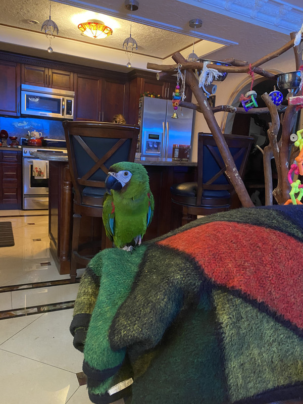 BAF1A136-98C7-49EE-B13C-78F2DD36F9BD