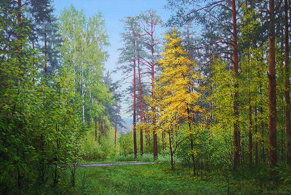 1348492730-426956-les-posle-dozhdya-60-100-sm