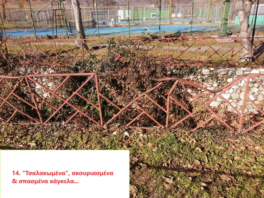 418986113-3544405135888596-7341099498545884878-n