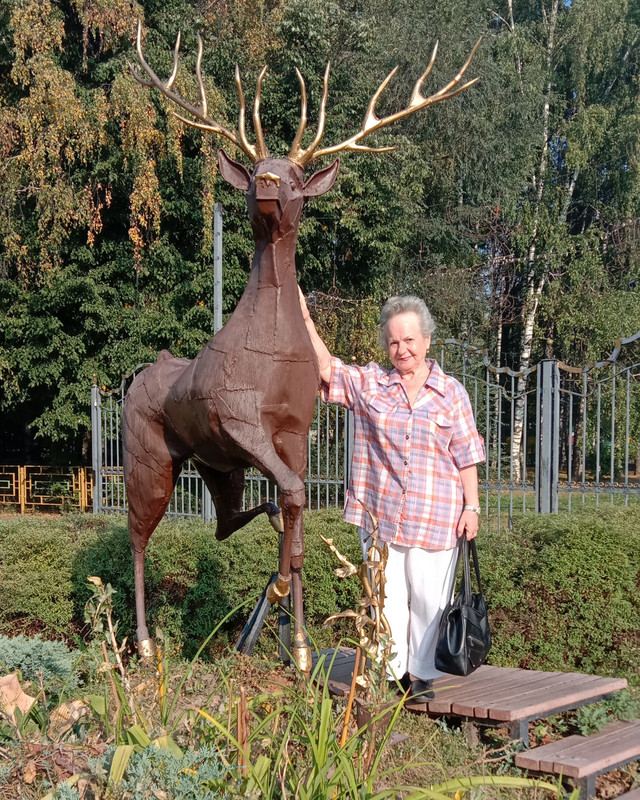 Гордый олень