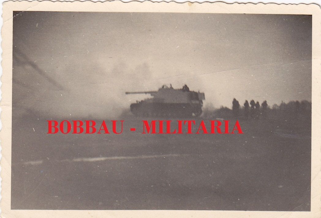 Panzerjäger Nashorn Sd.Kfz.164 an der Front Regi