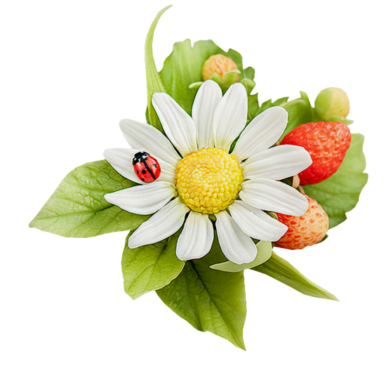 Mariposa_Kit_48