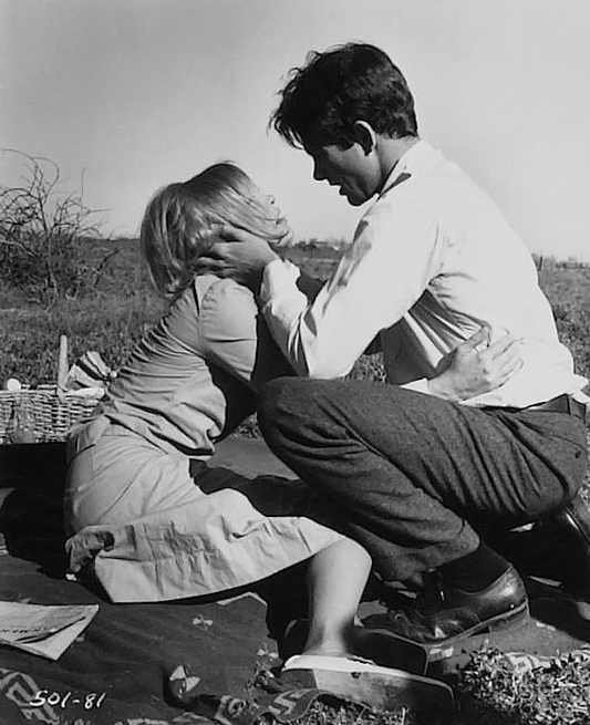 Faye_Dunaway_c12