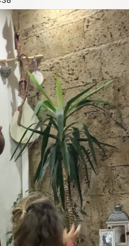 844E28F0-20A9-4139-8D73-1FDE4D9CB369