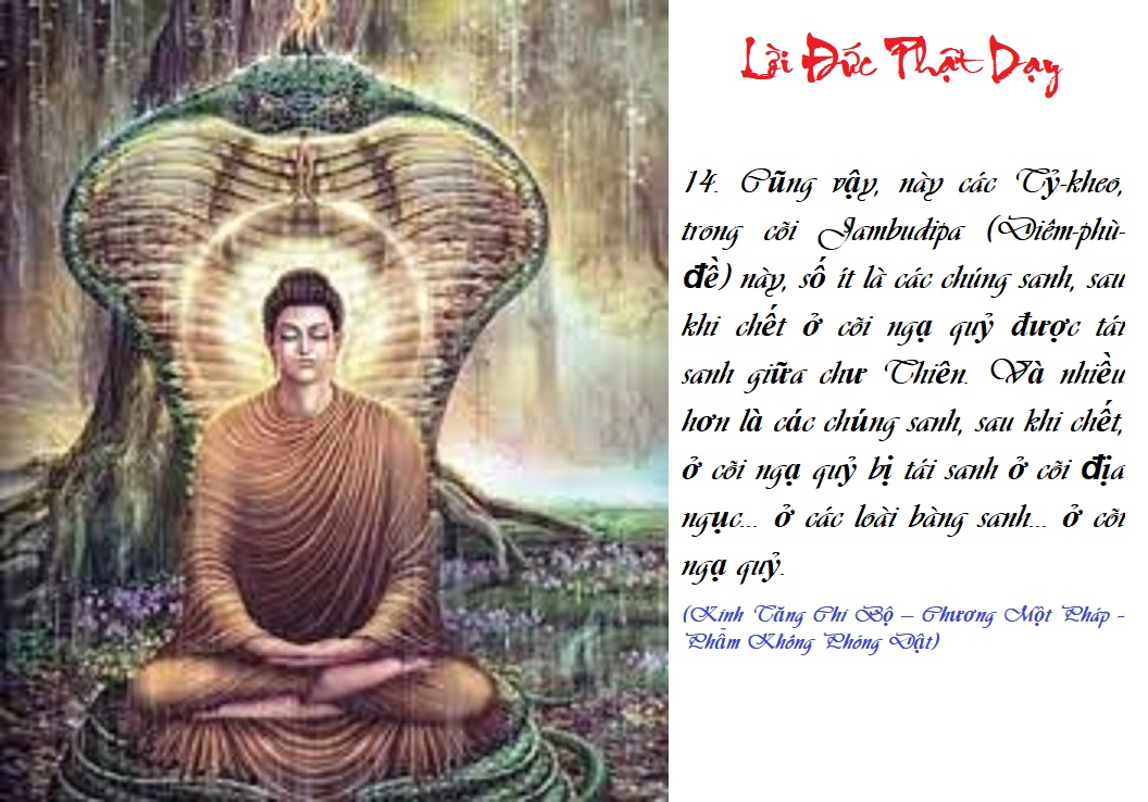 [Image: L-I-D-Y-14a-TCBK1.jpg]