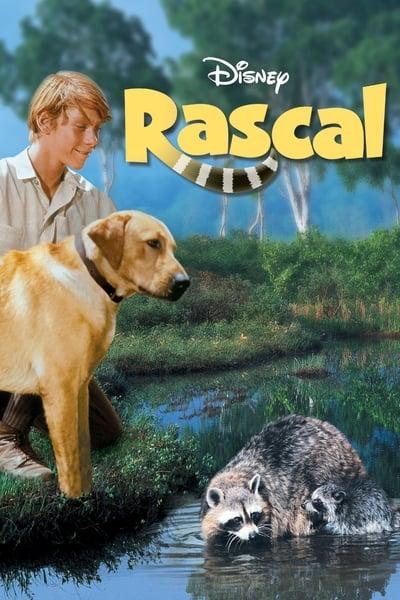 Rascal 1969 1080p WEBRip x265-RARBG