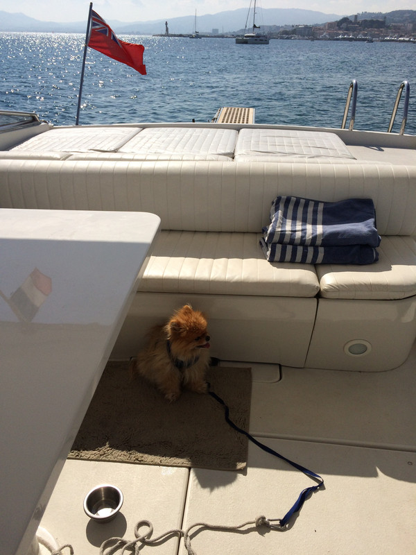 32A65FEC-E2C5-4B3E-9946-495CEFAC461B