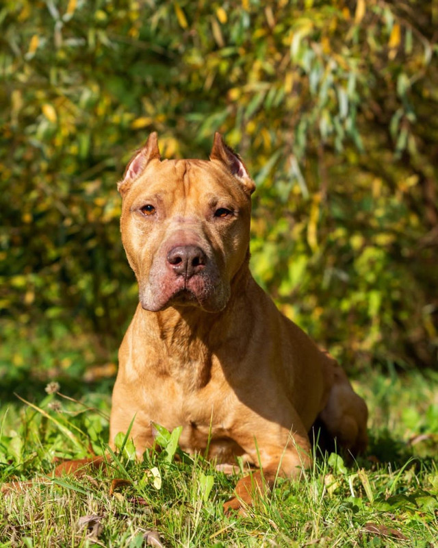 DB172386-E780-4907-9983-C57E5BAA26FB